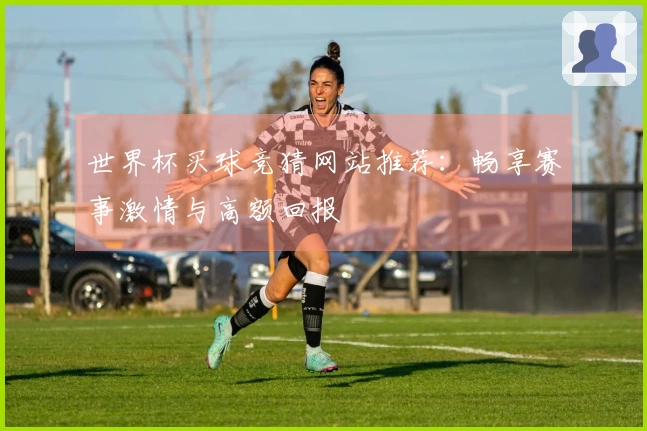 世界杯买球竞猜网站推荐：畅享赛事激情与高额回报