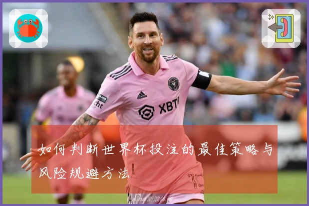如何判断世界杯投注的最佳策略与风险规避方法