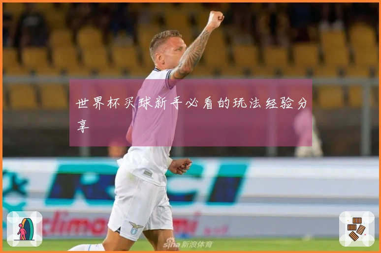 世界杯买球新手必看的玩法经验分享