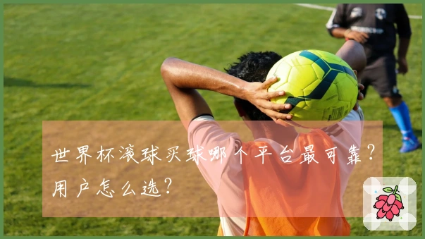 世界杯滚球买球哪个平台最可靠？用户怎么选？