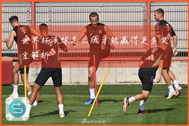 世界杯滚球怎么玩才能赢得更多奖金解析